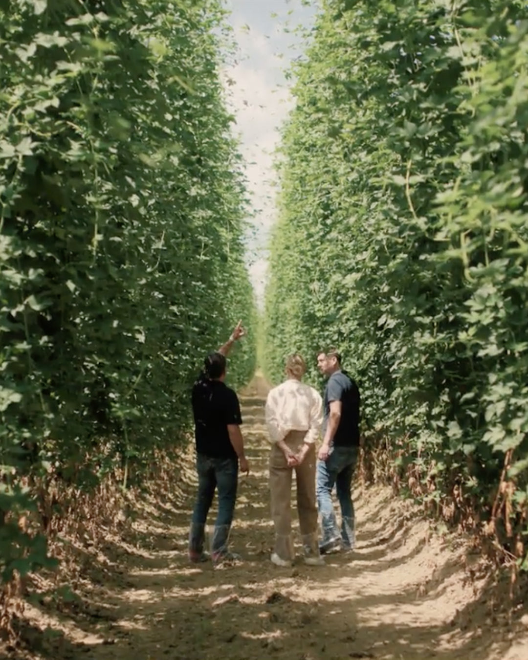 The Best Gluten-Free Supplements