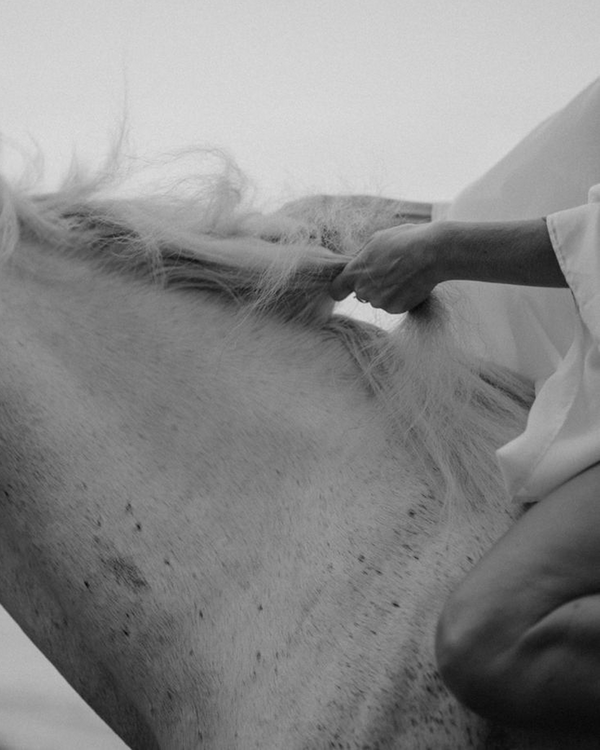 The Year of the Horse: How to Carry the New Year Energy Forward