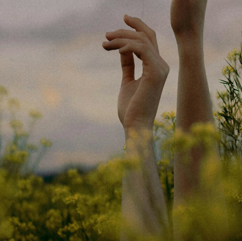 The Rise of the Longevity Lifestyle